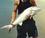 redfish.jpg image by TriggerN